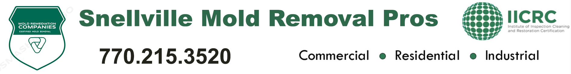 Snellville Mold Removal Pros